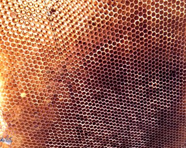 Arka plan altıgen doku, balmumu petek arı kovanı üzerinden altın bal ile dolu. Makro fotoğrafçılık balmumu, arı kovanı gelen sarı tatlı ballar oluşan petek. Arılar peteğin tatlım nektarı