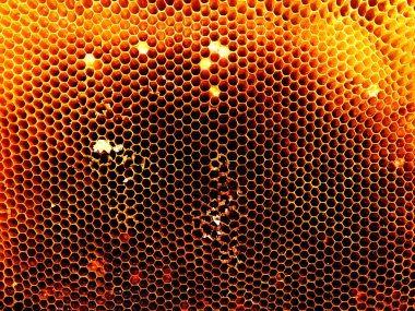 Arka plan altıgen doku, balmumu petek arı kovanı üzerinden altın bal ile dolu. Makro fotoğrafçılık balmumu, arı kovanı gelen sarı tatlı ballar oluşan petek. Arılar peteğin tatlım nektarı