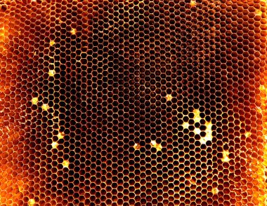 Arka plan altıgen doku, balmumu petek arı kovanı üzerinden altın bal ile dolu. Makro fotoğrafçılık balmumu, arı kovanı gelen sarı tatlı ballar oluşan petek. Arılar peteğin tatlım nektarı