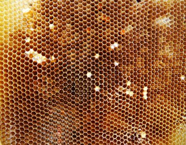 Arka plan altıgen doku, balmumu petek arı kovanı üzerinden altın bal ile dolu. Makro fotoğrafçılık balmumu, arı kovanı gelen sarı tatlı ballar oluşan petek. Arılar peteğin tatlım nektarı
