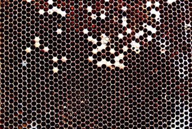 Arka plan altıgen doku, balmumu petek arı kovanı üzerinden altın bal ile dolu. Makro fotoğrafçılık balmumu, arı kovanı gelen sarı tatlı ballar oluşan petek. Arılar peteğin tatlım nektarı