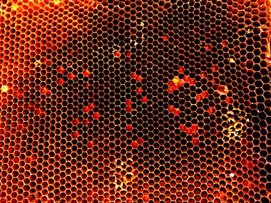 Arka plan altıgen doku, balmumu petek arı kovanı üzerinden altın bal ile dolu. Makro fotoğrafçılık balmumu, arı kovanı gelen sarı tatlı ballar oluşan petek. Arılar peteğin tatlım nektarı