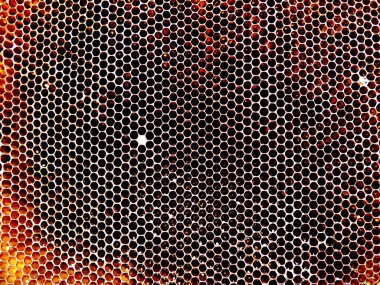 Arka plan altıgen doku, balmumu petek arı kovanı üzerinden altın bal ile dolu. Makro fotoğrafçılık balmumu, arı kovanı gelen sarı tatlı ballar oluşan petek. Arılar peteğin tatlım nektarı