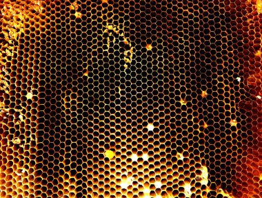 Arka plan altıgen doku, balmumu petek arı kovanı üzerinden altın bal ile dolu. Makro fotoğrafçılık balmumu, arı kovanı gelen sarı tatlı ballar oluşan petek. Arılar peteğin tatlım nektarı