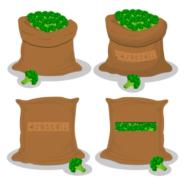 Vektorillustration För Påsar Fyllda Med Vegetabiliska Grön Broccoli Lagring Säckar — Stock vektor