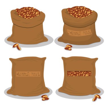 Vektör çizim logo torbaları için kahverengi Brezilya fıstığı, depolama çuvallar içinde dolu. Olgun gıda, ham ürün açık çuval üzerinde oluşan fındık desen. Lezzetli meyve Brezilya Cevizi üzerinden Eko çuval, tam bol çanta.