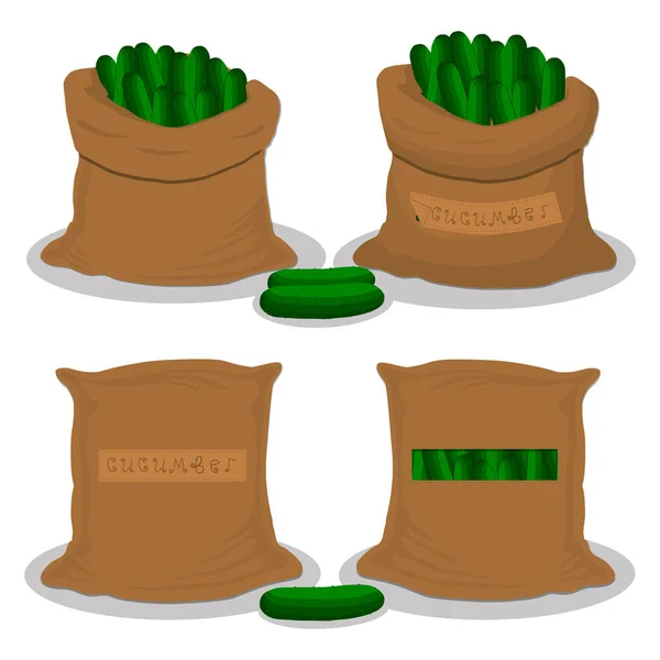 Векторні Ілюстрації Мішків Наповнених Овочевим Зеленим Огірком Зберігаються Мішках Огірковий — стоковий вектор