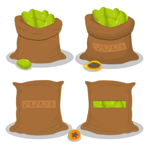 Logo Illustration Vectorielle Pour Sacs Remplis Papaye Fruits Tropicaux Stockage — Image vectorielle