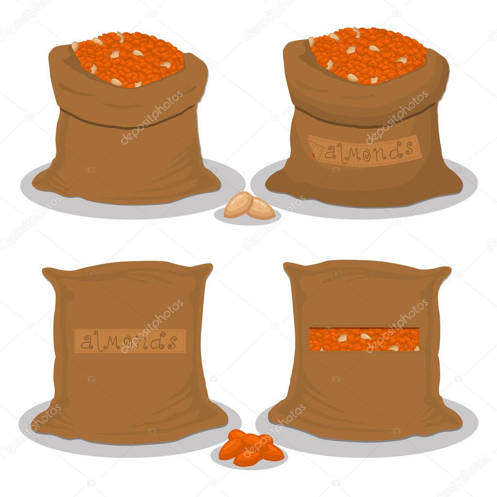Vector illustration logo for bags filled with nuts brown almond, storage in sacks. Almond pattern consisting of ripe food, raw product on open Sack. Tasty fruit almond from eco sack, full baggy bag.