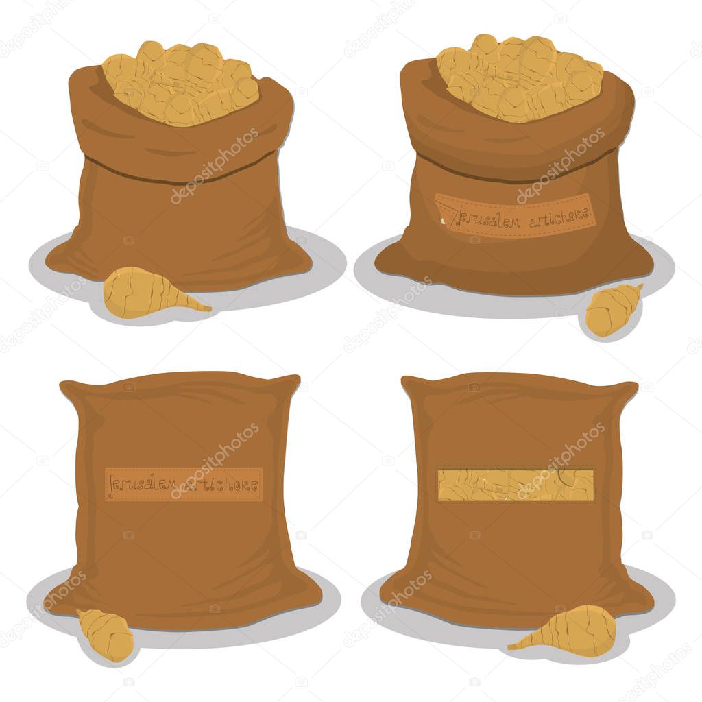 Vector illustration for bags filled with vegetable Jerusalem artichoke, storage in sacks. Artichoke pattern consisting of ripe food, raw product on open Sack. Tasty artichoke from eco sack, full bag.