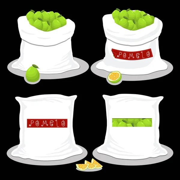 Icône Vectorielle Illustration Logo Pour Sacs Remplis Fruits Pomelo Vert — Image vectorielle