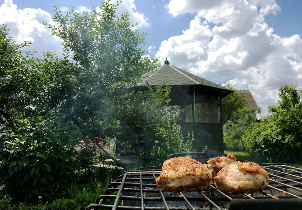 Mooie Smakelijke Gerechten Uit Segment Gegrilde Kip Vlees Roast Metalen — Stockfoto