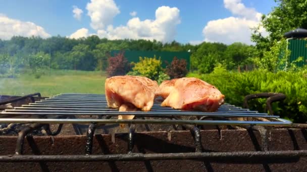 Piękne Smaczne Jedzenie Plasterka Grillowane Mięso Kurczaka Pieczona Metalowy Kociołek — Wideo stockowe