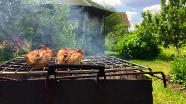 Piękne Smaczne Jedzenie Plasterka Grillowane Mięso Kurczaka Pieczona Metalowy Kociołek — Wideo stockowe