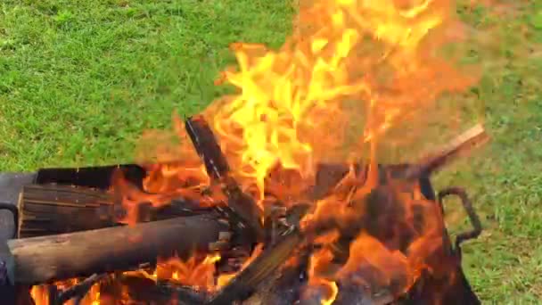 Hermoso Fuego Rojo Madera Rebanada Brasas Negras Grises Oscuras Dentro — Vídeo de stock