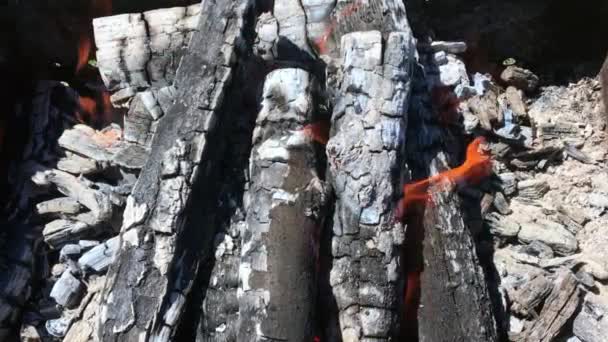 Belo Fogo Vermelho Madeira Fatia Carvão Preto Cinza Escuro Dentro — Vídeo de Stock