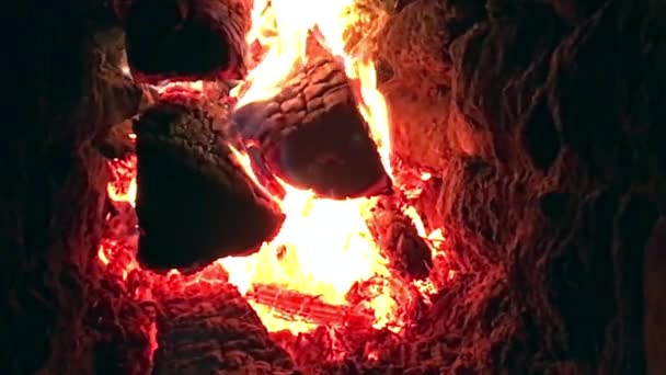 Beautiful Red Fire Slice Wood Dark Grey Black Coals Metal — Stock Video