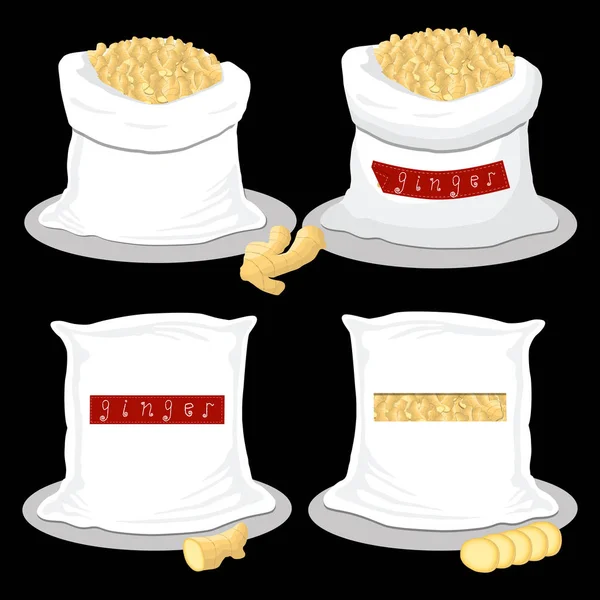 Logotipo Ilustração Vetorial Para Sacos Cheios Especiarias Ervas Tempero Gengibre —  Vetores de Stock