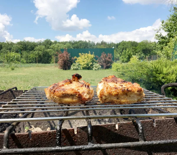 Mooie Smakelijke Gerechten Uit Segment Gegrilde Kip Vlees Roast Metalen — Stockfoto