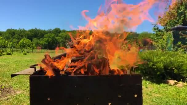 Beautiful Red Fire Slice Wood Dark Grey Black Coals Metal — Stock Video