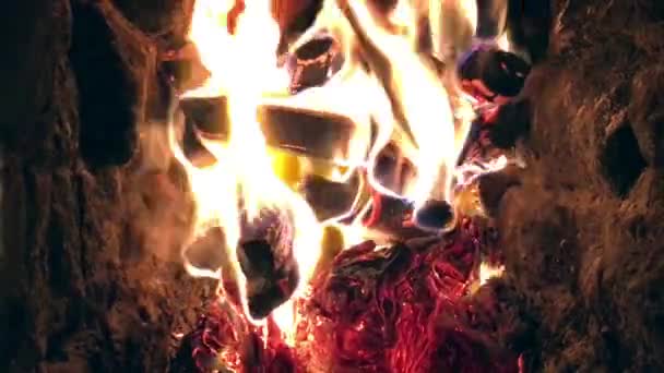 Beautiful Red Fire Slice Wood Dark Grey Black Coals Metal — Stock Video