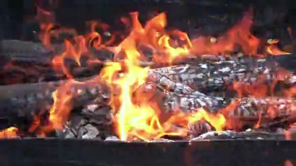 Belo Fogo Vermelho Madeira Fatia Carvão Preto Cinza Escuro Dentro — Vídeo de Stock