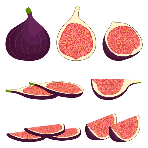 Icono Vectorial Ilustración Logo Para Fruta Madura Entera Higo Púrpura — Vector de stock
