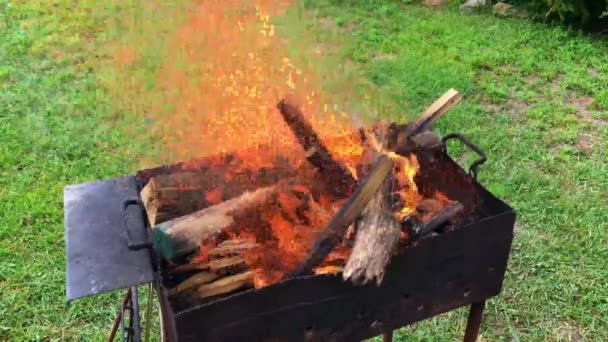 漂亮的红色火光来自木片 深灰色的黑色煤块内部金属钎焊 火盆里的木头在明亮的黄色火上燃烧 篝火为烹调烧烤作准备 关于自然的巴西Bbq — 图库视频影像