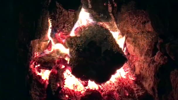 Красивий Червоний Вогонь Скибочки Дерева Темно Сірого Чорного Вугілля Всередині — стокове відео