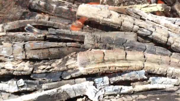 Prachtig Rood Vuur Van Slice Hout Donkergrijze Zwarte Kolen Metaal — Stockvideo