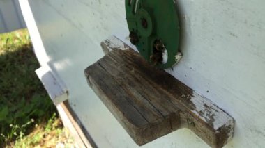 Arka plan altıgen doku, balmumu petek arı kovanı üzerinden altın bal ile dolu. Petek makro genel bakış balmumu sarı tatlı bal arı arı kovanı dan oluşan. Arılar peteğin tatlım nektarı.