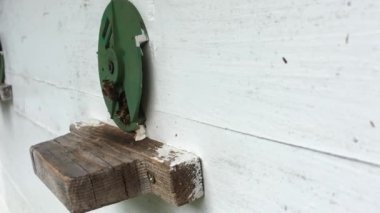 Arka plan altıgen doku, balmumu petek arı kovanı üzerinden altın bal ile dolu. Petek makro genel bakış balmumu sarı tatlı bal arı arı kovanı dan oluşan. Arılar peteğin tatlım nektarı.