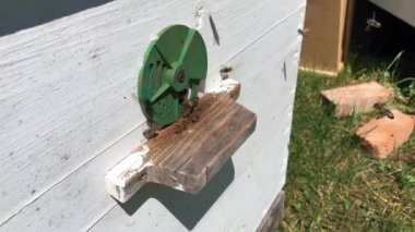 Arka plan altıgen doku, balmumu petek arı kovanı üzerinden altın bal ile dolu.