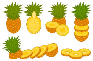 Tema büyük set farklı türleri sarı tropikal ananas, yeşil üzerinde illüstrasyon kök çeşitli boyut. Ananas desen koleksiyonu tropikal yemek organik içecekler için oluşan. Tropikal ananas yemek.