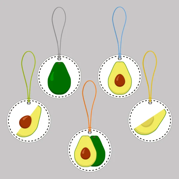 Illustrazione Sul Tema Grande Set Diversi Tipi Avocado Rotondo Raccogliere — Vettoriale Stock