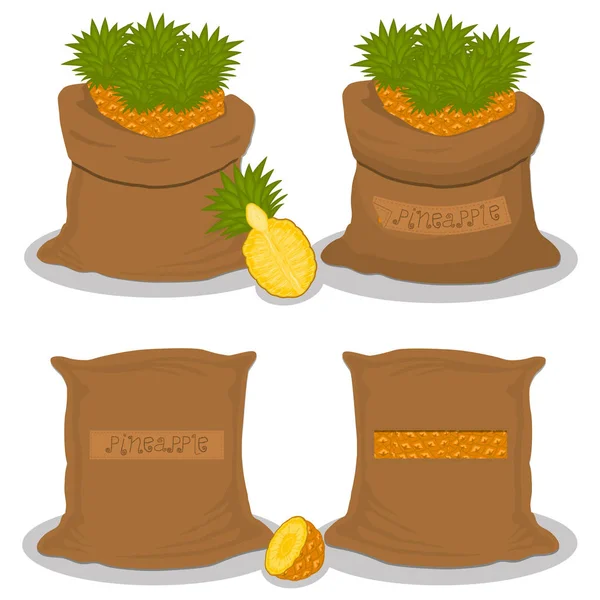 Illustration Sur Thème Grand Ensemble Différents Types Ananas Sac Différentes — Image vectorielle