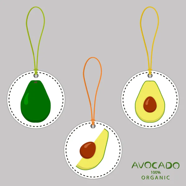 Illustratie op thema grote verzameling verschillende soorten ronde avocado — Stockvector
