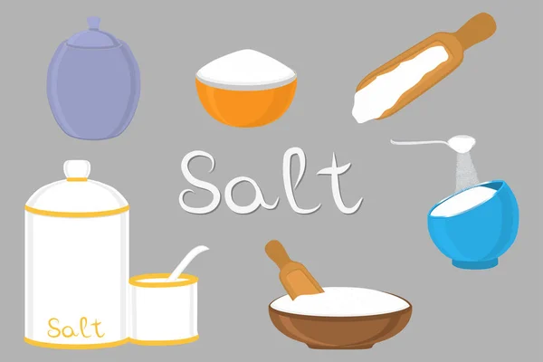 Illustration on theme big set different types filled salty salt — Stock Vector