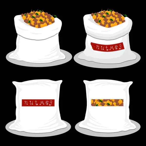 Illustration sur le thème grand ensemble différents types épices noix de muscade — Image vectorielle