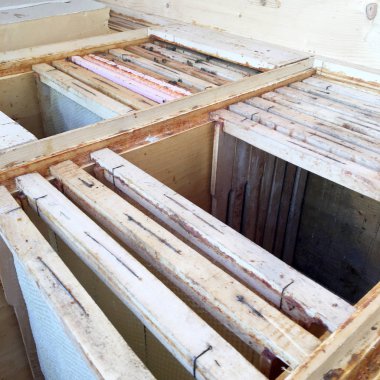 altın bal dolu arı kovanından petek