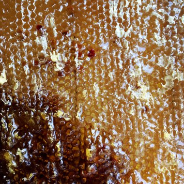 Altın nektarla doldurulmuş altıgen bal peteklerinden bir damla bal damlıyor. Bal peteği yaz kompozisyonu. Doğal bal damlası, balmumu çerçeveli arı damlası. Bal damlası bal damlatıyor bal peteğine.