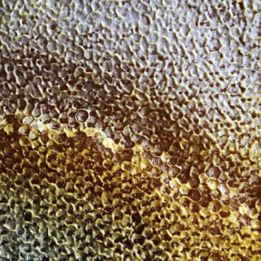 Soyut altıgen yapısı altın bal dolu arı kovanından bal peteği. Bal peteği yaz kompozisyonu arı köyünden yapışkan bal içerir. Arıların kırsal bal petekleri taşraya.