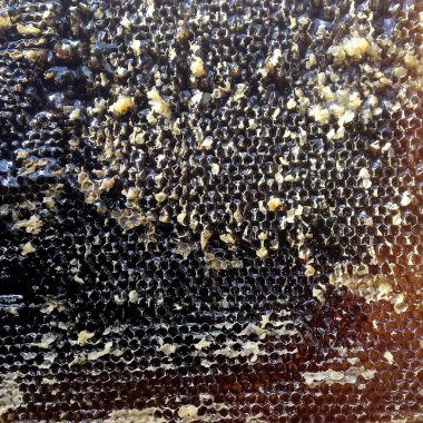 Altın nektarla doldurulmuş altıgen bal peteklerinden bir damla bal damlıyor. Bal peteği yaz kompozisyonu. Doğal bal damlası, balmumu çerçeveli arı damlası. Bal damlası bal damlatıyor bal peteğine.