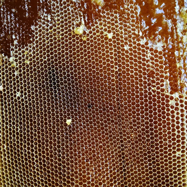 Egy Csepp Mézcseppet Hatszögletű Arany Nektárral Töltött Méhecskékből Méhsejt Fésű — Stock Fotó