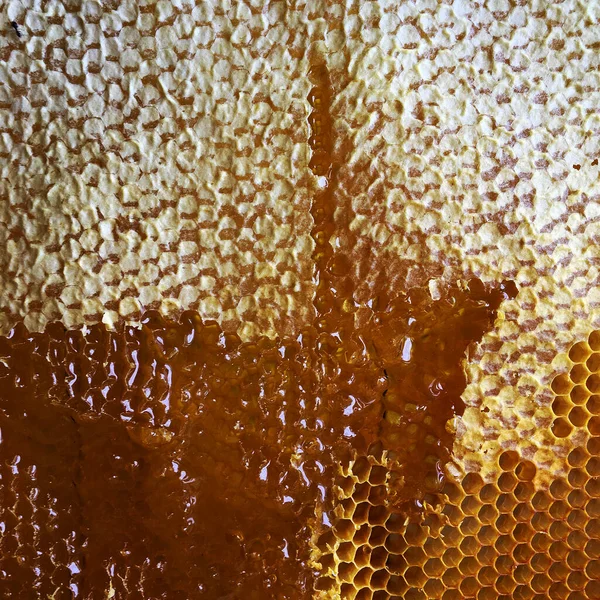 Tropfen Bienenhonig Tropfen Von Sechseckigen Waben Die Mit Goldenem Nektar — Stockfoto