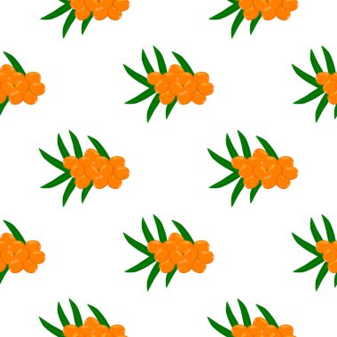 Temalı, büyük, renksiz, dikensiz deniz dikenli, parlak dut desenli fok. Böğürtlen deseni, güzel, kusursuz tekrar eden deniz dikeninden oluşuyor. Dikensiz deniz dikeninin basit renkli desenli meyvesi..