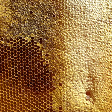 Soyut altıgen yapısı altın bal dolu arı kovanından bal peteği. Bal peteği yaz kompozisyonu arı köyünden yapışkan bal içerir. Arıların kırsal bal petekleri taşraya.