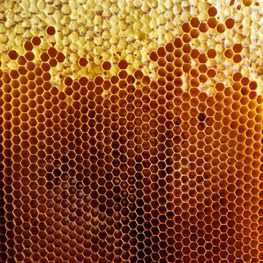 Soyut altıgen yapısı altın bal dolu arı kovanından bal peteği. Bal peteği yaz kompozisyonu arı köyünden yapışkan bal içerir. Arıların kırsal bal petekleri taşraya.