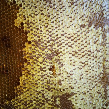 Soyut altıgen yapısı altın bal dolu arı kovanından bal peteği. Bal peteği yaz kompozisyonu arı köyünden yapışkan bal içerir. Arıların kırsal bal petekleri taşraya.