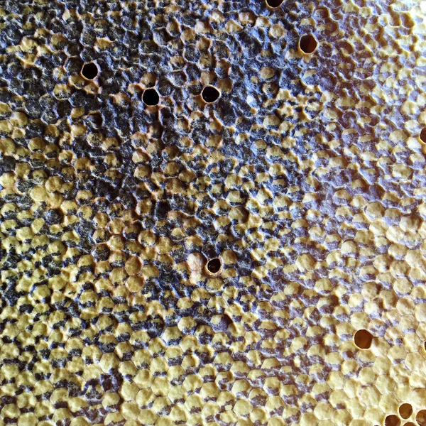 摘要六边形结构是从蜂窝中提取的蜂窝 蜂窝中充满了金黄色蜂蜜 蜂窝夏季作曲 由蜂村的粘稠蜂蜜组成 蜜蜂的蜂蜜农村蜂窝到农村 — 图库照片